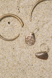 Mollusk No. 2