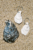 Mollusk No.1