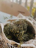 Botanical Beauty + Anointing Oil