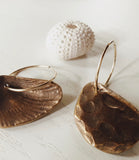 Mollusk No. 2