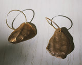 Mollusk No. 2